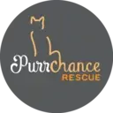 Logo of PURRCHANCE RESCUE