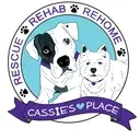 Logo of CASSIES PLACE INC