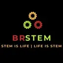 Logo de BRSTEM INSTITUTE