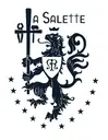 Logo of NOTRE DAME DE LA SALETTE INC