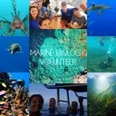 Logo of Project Manaia