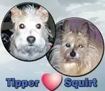 Logo of TIPPER AND SQUIRT CARE FOR CUSHINGS FUND INC