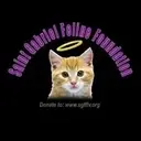 Logo of SAINT GABRIEL FELINE FOUNDATION