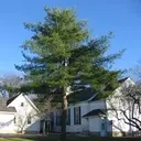 Logo of Stanton Learning Center