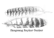 Logo of Skegemog Raptor Center
