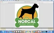 Logo de NorCal Boxer Rescue