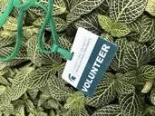 Logo of Hidden Lake Gardens - MSU