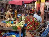 Logo of Agile-International