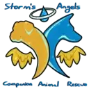 Logo de STORMS ANGELS