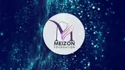 Logo de MEIZON FOUNDATION