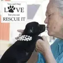 Logo of HUMANE SOCIETY OF THE DELTA