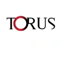 Logo of TORUS