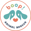 Logo of BOOP RESCUE
