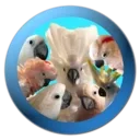 Logo of The Chloe Sanctuary for Parrots and Cockatoos