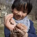 Logo de Wild Haven Forest Preschool and Childcare at Baltimore City Recreation and Parks