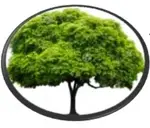Logo de James Dean Byrd Foundation, Inc