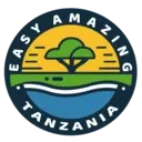 Logo of EASY AMAZING TANZANIA