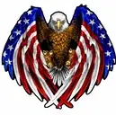 Logo of OPERATION STAND DOWN KENTUCKY INC