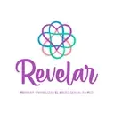 Logo of REVELAR