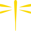 Logo of The Dragonfly Foundation