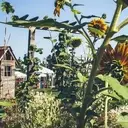 Logo of WEST CENTRAL PARK PROJECT