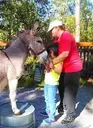 Logo of ARK  Animals Reaching Kids