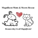 Logo de Magnificent Mutts & Meows Rescue