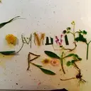 Logo of Community Roots