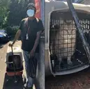 Logo of PORTLAND ANIMAL WELFARE TEAM