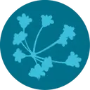 Logo de The Center for Scientific Collaboration and Community Engagement