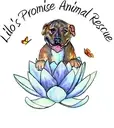 Logo of Lilo's Promise Animal Rescue