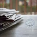 Logo of The Young Journalist