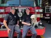 Logo of Pawsitive Action Service dogs