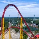 Logo of Loving Steps Foundation