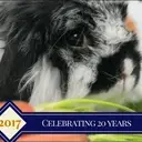 Logo of FRIENDS OF RABBITS INC