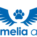 Logo of AMELIA AIR FOUNDATION INC