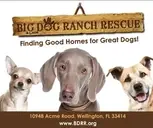 Logo of Big Dog Ranch Rescue