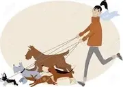 Logo of CAUSE 4PAWS GARY INC