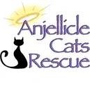Logo of Anjellicle Cats Rescue