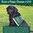 Logo of Summit Assistance Dogs