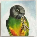 Logo of GINGERS PARROTS INC