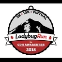 Logo of LADYBUG CDH FOUNDATION