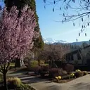 Logo of Mercy Medical Center Mt. Shasta Volunteers