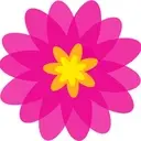 Logo of SUMAIRA FOUNDATION