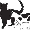 Logo of TAILS HIGH, Inc