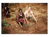 Logo of Volunteer Action for Peace