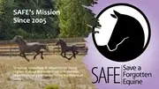 Logo of Save A Forgotten Equine SAFE