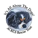 Logo of AMERICAN CAVALIER KING CHARLES SPANIEL RESCUE TR