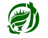 Logo de Living Stones Foundation