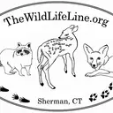 Logo of THE WILDLIFE LINE